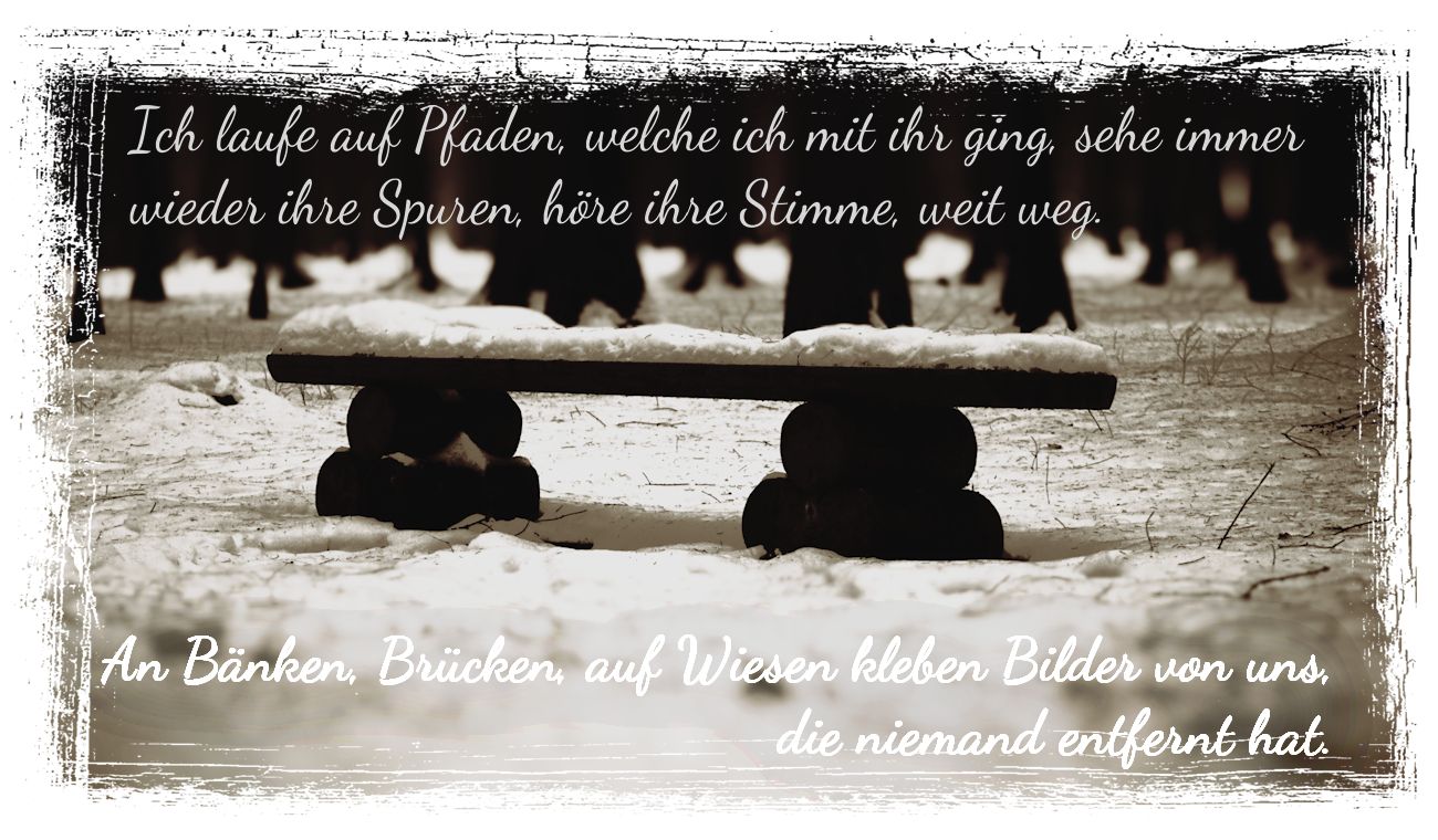 Bank im Winter