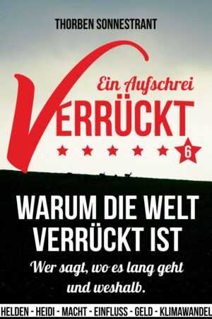 E-Book "Verrückt - ein Aufschrei" (Teil 6 und Ende)