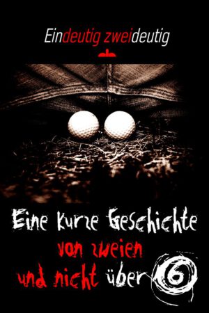 E-Book Cover "Eine kurze Geschichte von zweien und nicht über 6"
